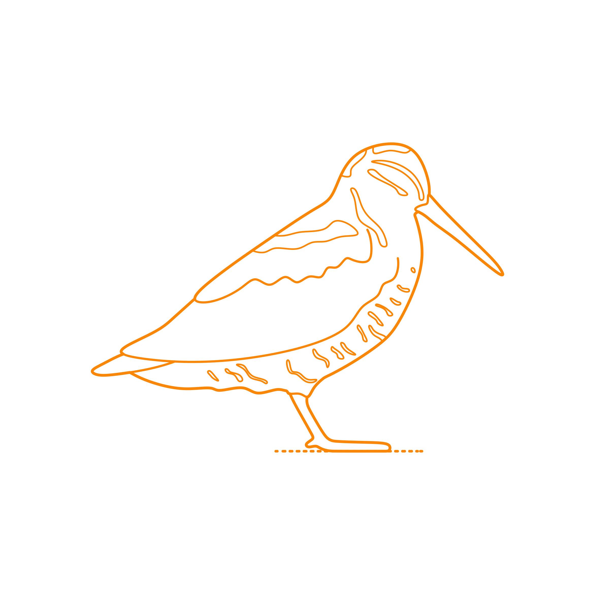 Animals Shorebirds Eurasian Woodcock Outline Svg Vector Free Vectors